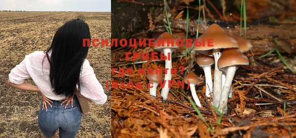 кокс Кинешма