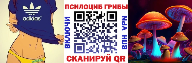 ссылка на мегу как зайти  Карталы  Галлюциногенные грибы мицелий 